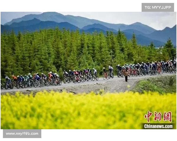 环青赛特别花絮：门源油菜花海设民俗补给点 青稞饼成赛道上最受欢迎能量食品